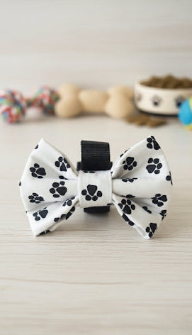 Dog Bow Tie | Charlie