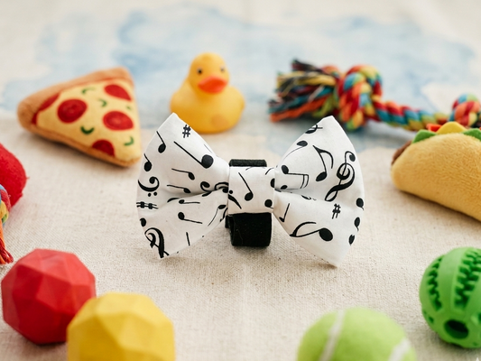 Dog Bow Tie | Rocky