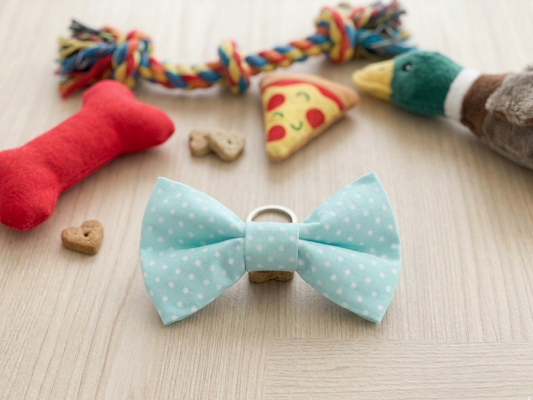 Dog Bow Tie | Hugo