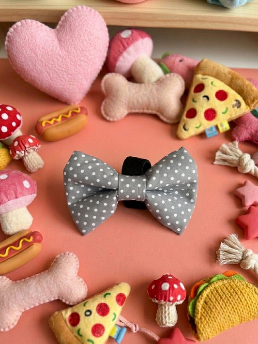 Dog Bow Tie | Teddy